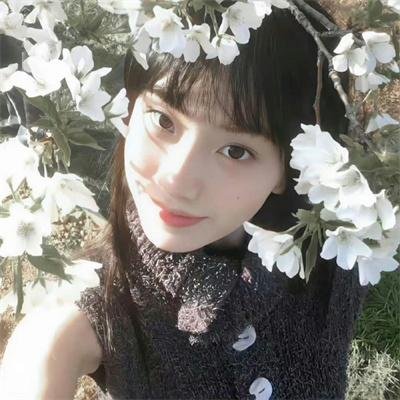 兽娘动物园